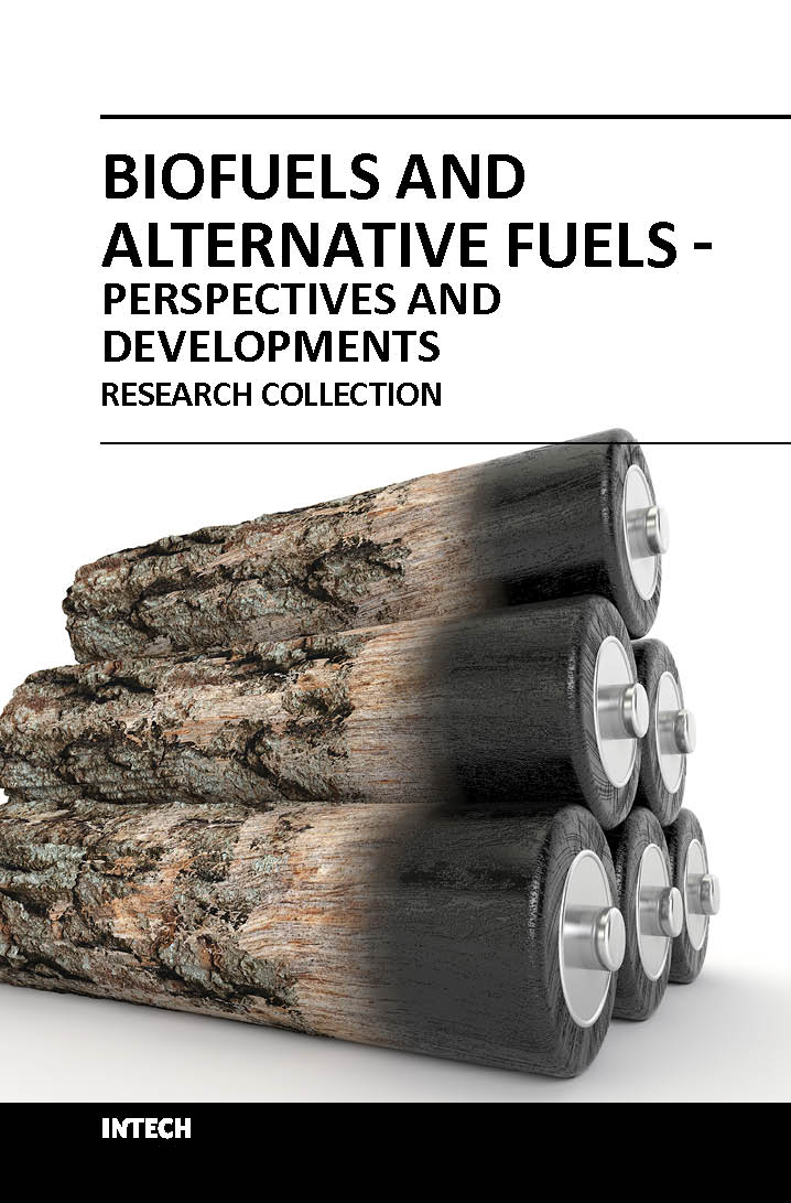 Biofuels and alternative fuels perspectives and developments