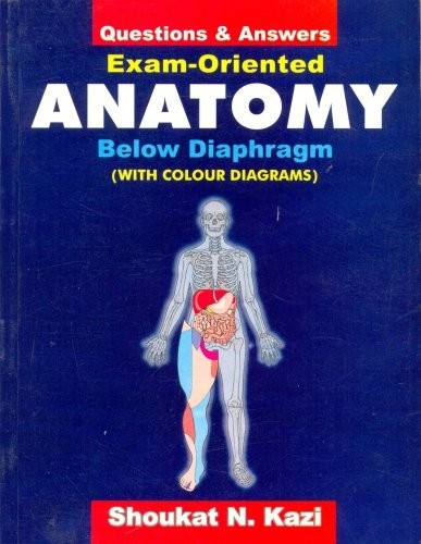 Exam oriented anatomy below diaphragm: questions & answers