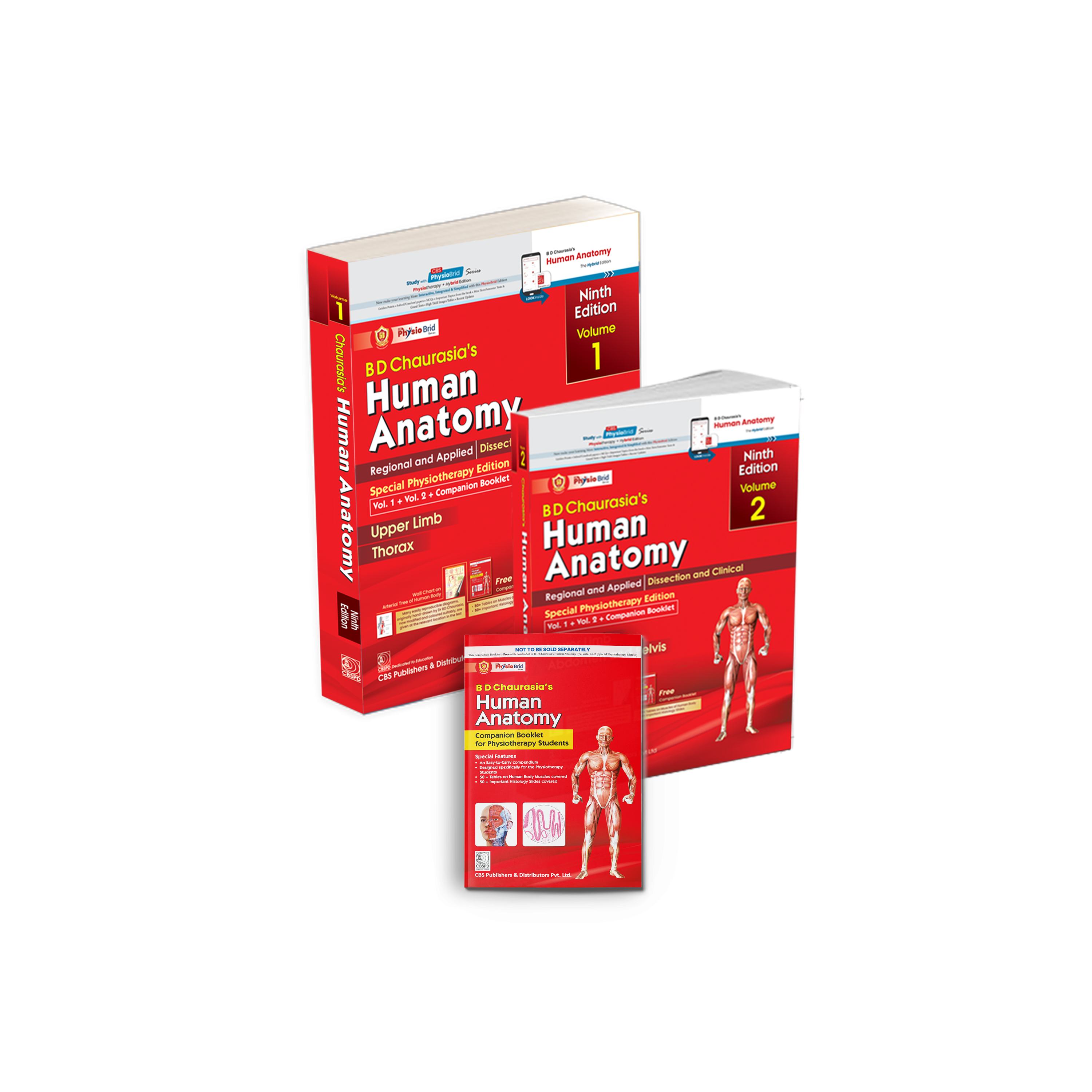 Combo set of bd chaurasia`s human anatomy 9/e (vol 1 + vol 2 + companion booklet ) special physiotherapy edition 